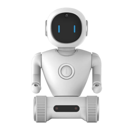 DANCE AI ROBOT SPEAKER RS02