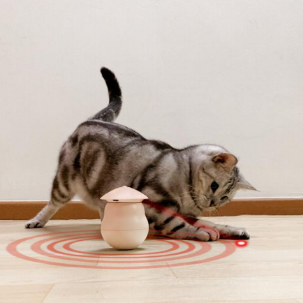 LASER CAT TOY