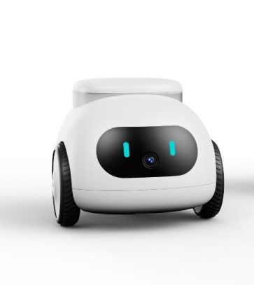 PET BUTLER ROBOT