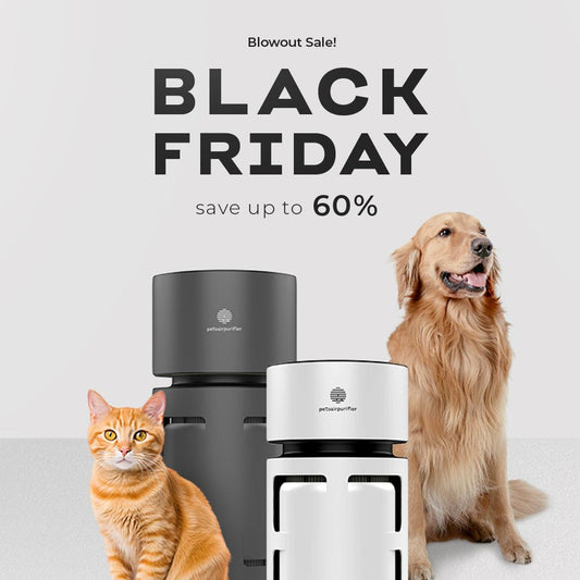 PET AIR PURIFIER